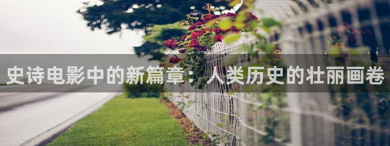 樱花视频樱花直播