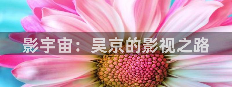 樱花影视电影电视剧免费观看