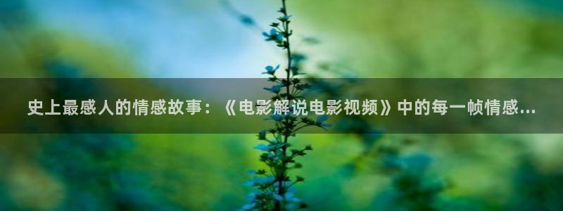 www.36311樱花视频