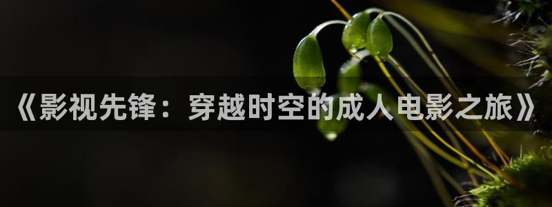 樱花视频电视剧免费观看