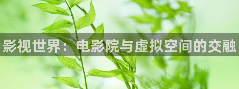 樱花视频好爽