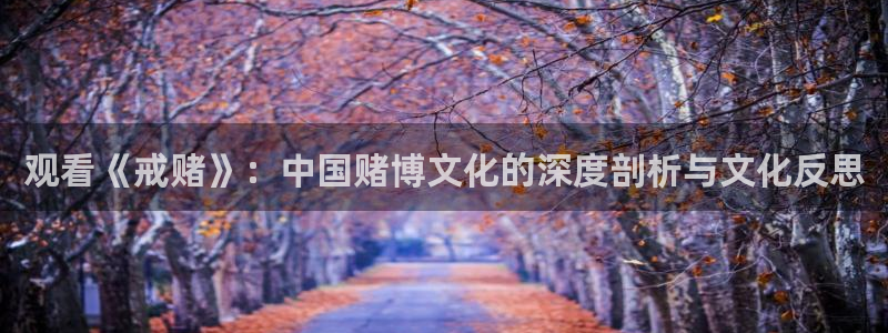 樱花影视黄色