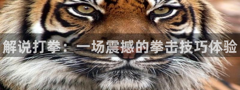 樱花视频免费观看网站