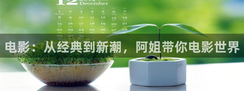 浪漫樱花影视在线观看